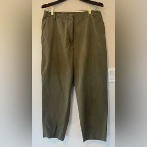 Banana Republic All Day Pants in Spiced Olive, Large